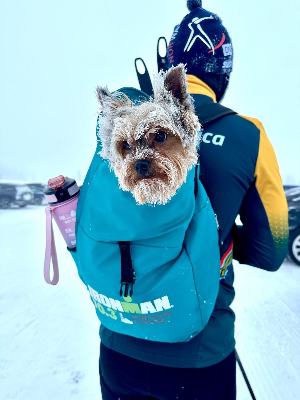 Instagram post from mattcsmith_. This post is in position 1.