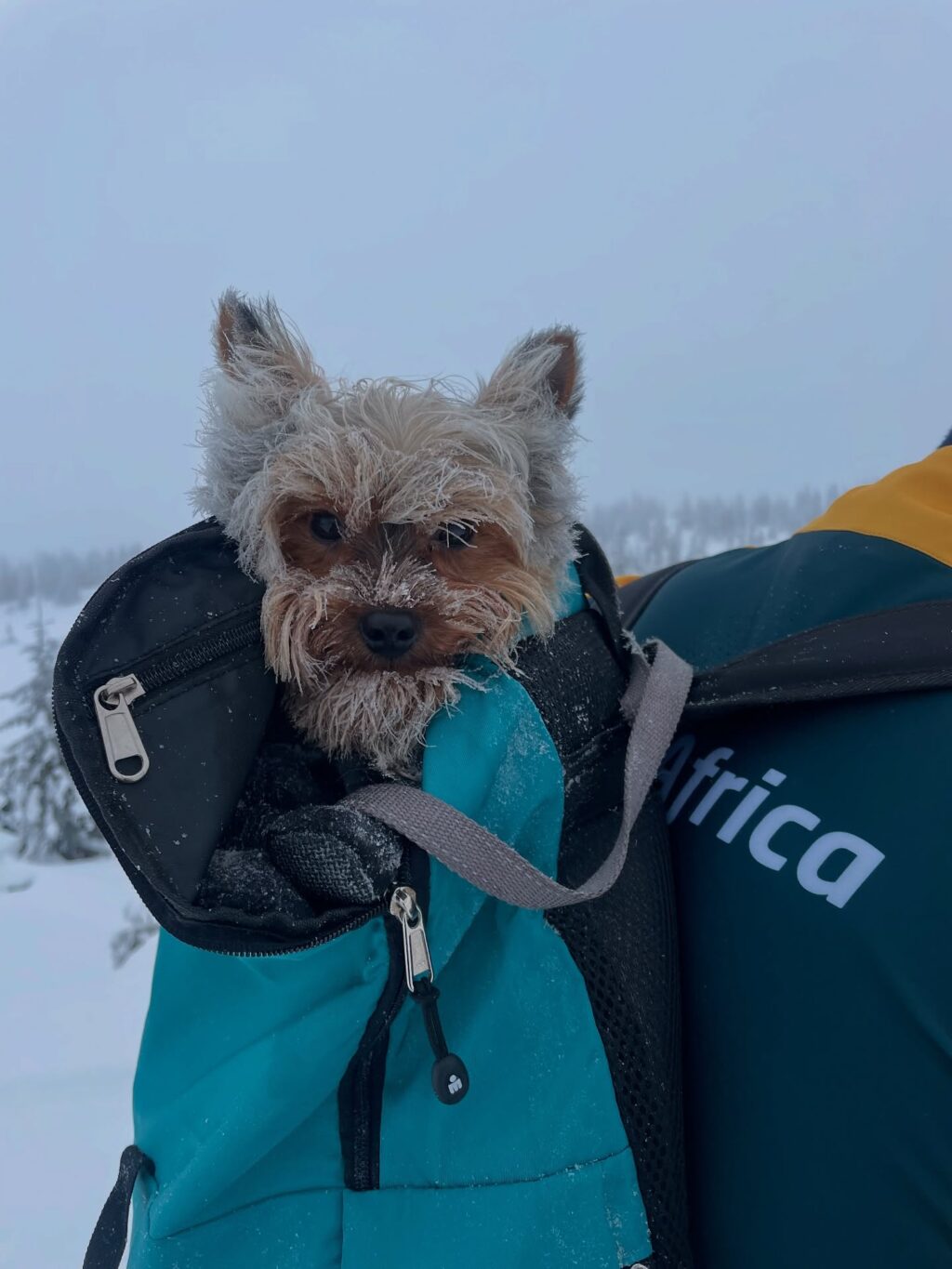 Instagram post from mattcsmith_. This post is in position 2.